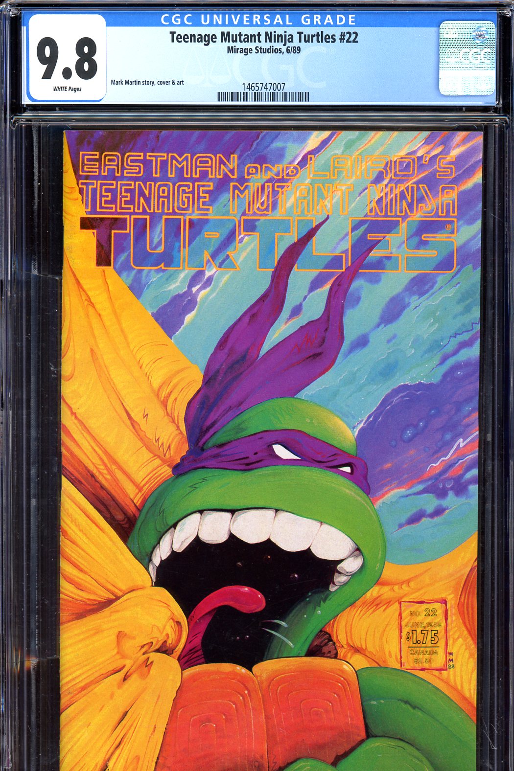 Teenage Mutant Ninja Turtles #22 CGC 9.8 w