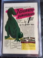 Image: Additional Image