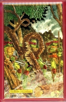 Image: Additional Image