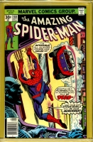 Image: Additional Image